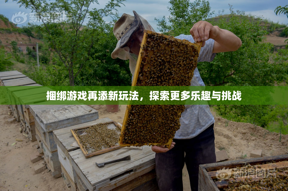 捆绑游戏再添新玩法，探索更多乐趣与挑战