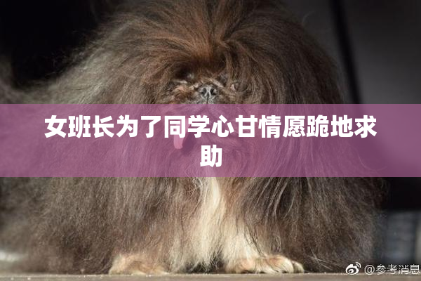女班长为了同学心甘情愿跪地求助