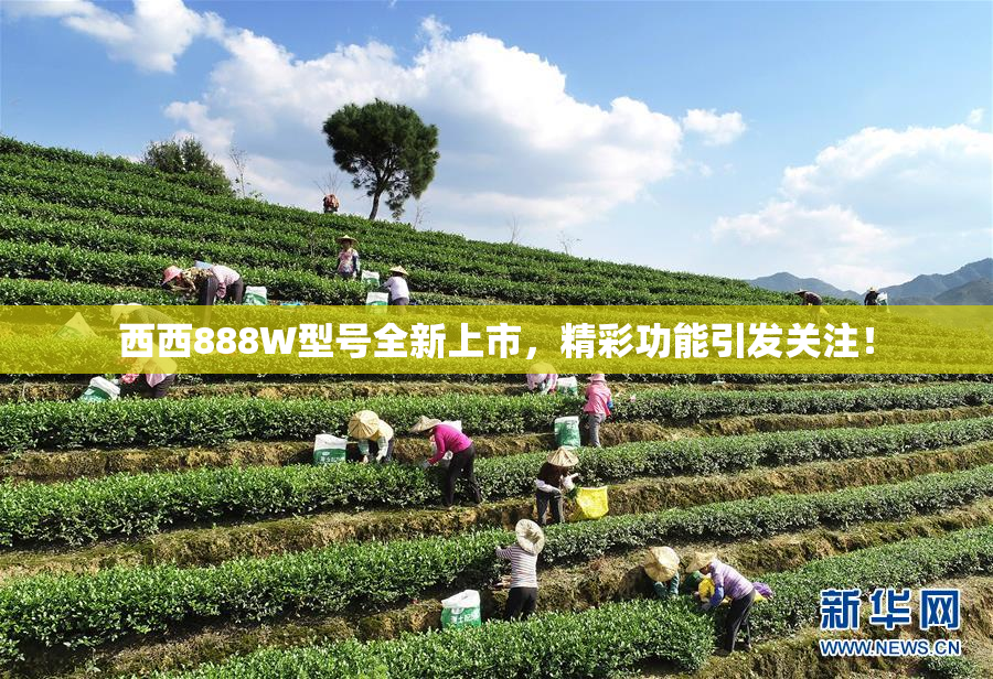 西西888W型号全新上市，精彩功能引发关注！