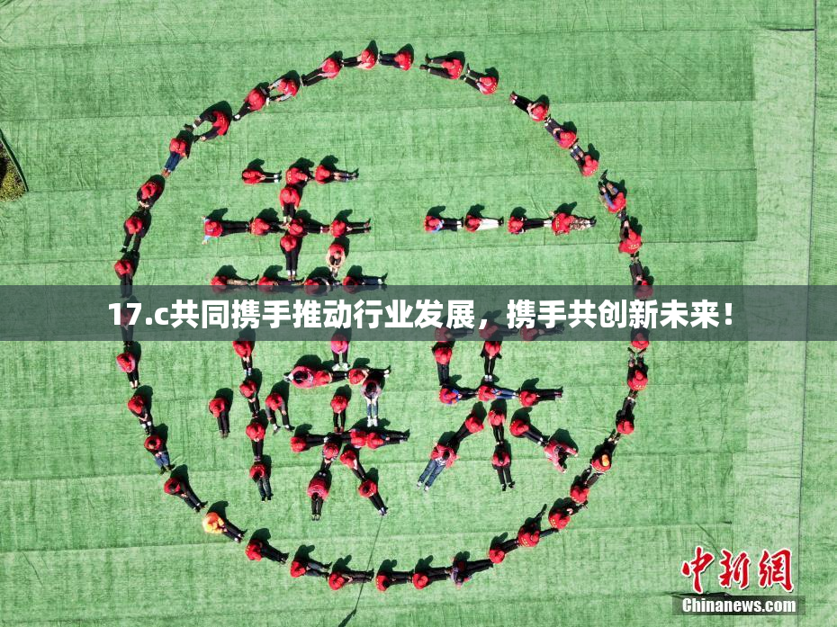 17.c共同携手推动行业发展，携手共创新未来！