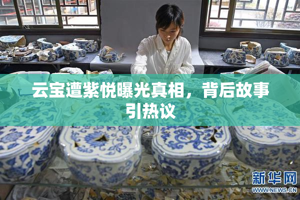 云宝遭紫悦曝光真相，背后故事引热议