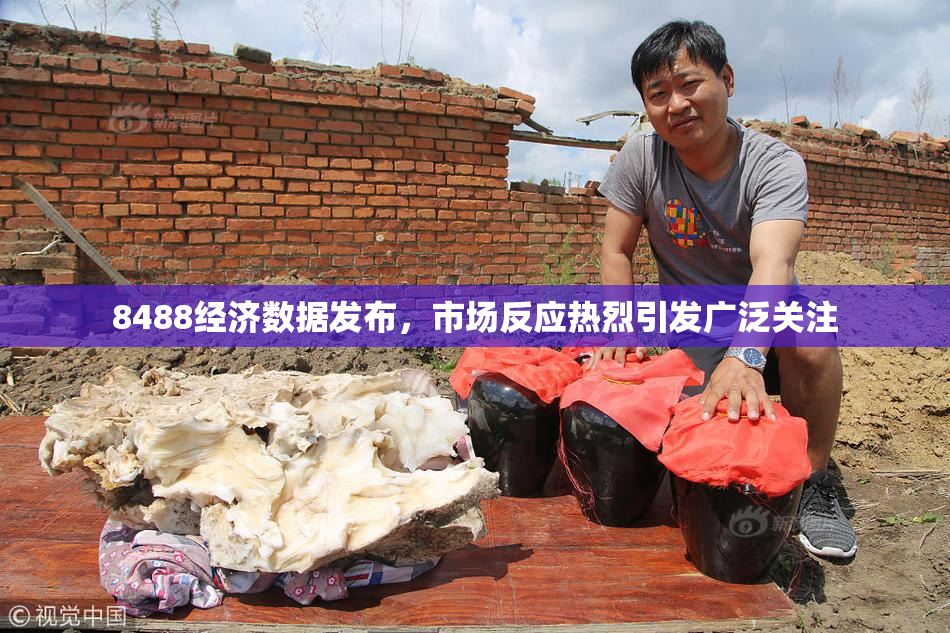 8488经济数据发布，市场反应热烈引发广泛关注