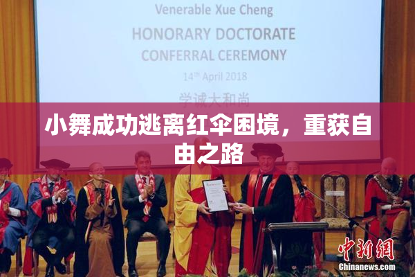 小舞成功逃离红伞困境，重获自由之路