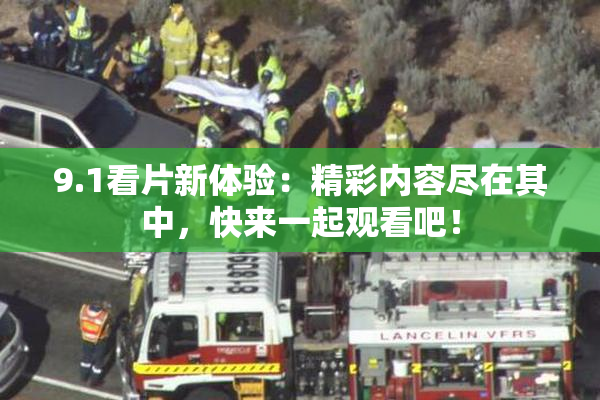 9.1看片新体验：精彩内容尽在其中，快来一起观看吧！