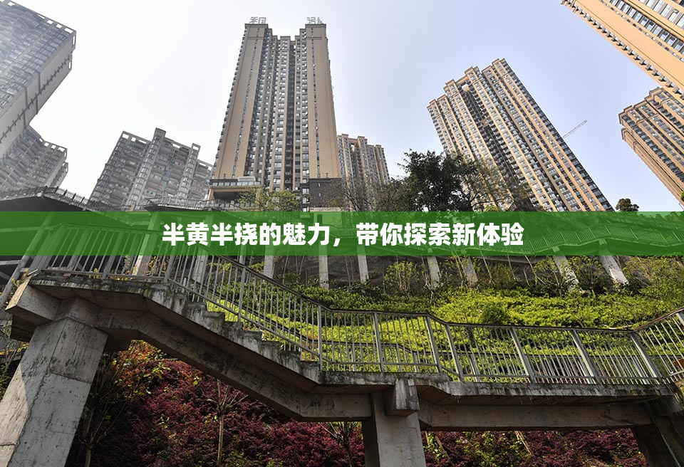 半黄半挠的魅力，带你探索新体验