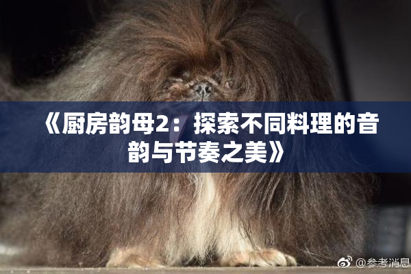 《厨房韵母2：探索不同料理的音韵与节奏之美》
