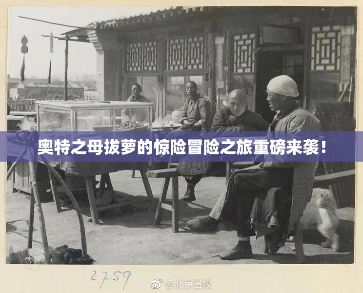 奥特之母拔萝的惊险冒险之旅重磅来袭！