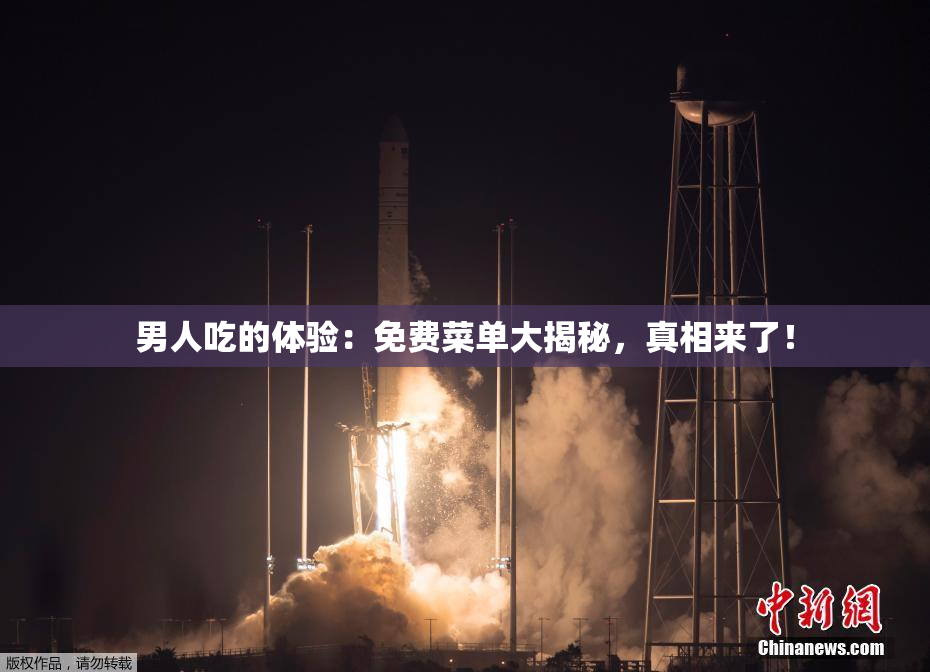 男人吃的体验：免费菜单大揭秘，真相来了！