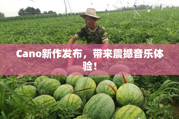 Cano新作发布，带来震撼音乐体验！