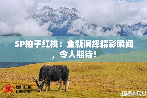 SP拍子红桃：全新演绎精彩瞬间，令人期待！