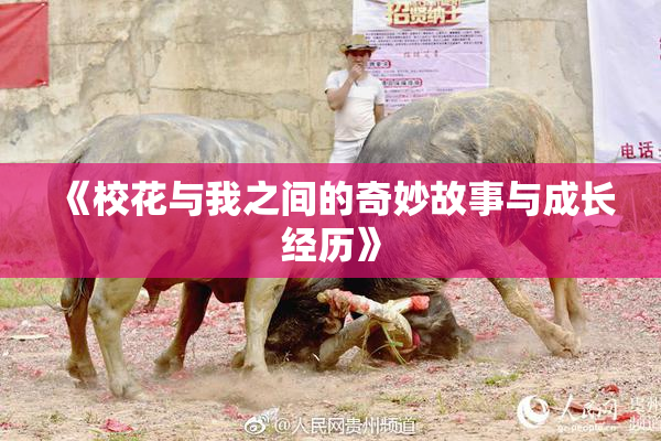 《校花与我之间的奇妙故事与成长经历》