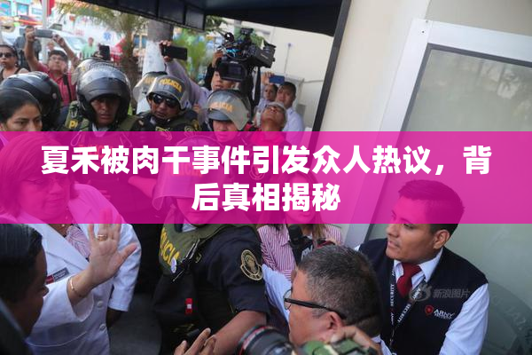 夏禾被肉干事件引发众人热议，背后真相揭秘