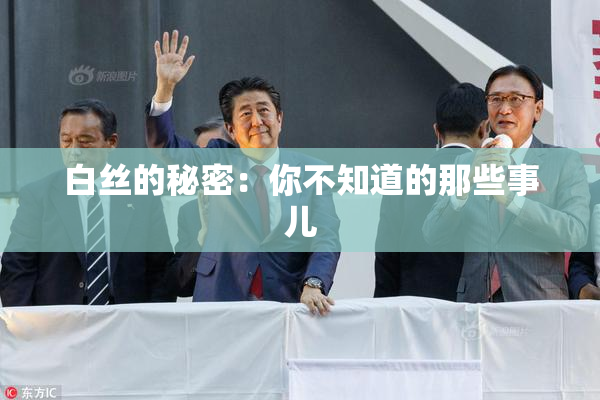 白丝的秘密：你不知道的那些事儿