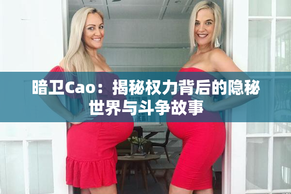 暗卫Cao：揭秘权力背后的隐秘世界与斗争故事