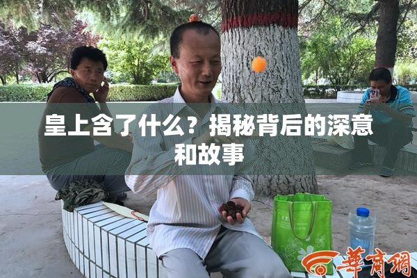 皇上含了什么？揭秘背后的深意和故事