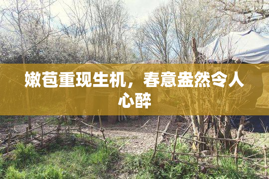 嫩苞重现生机，春意盎然令人心醉