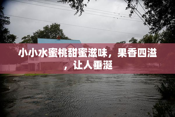 小小水蜜桃甜蜜滋味，果香四溢，让人垂涎