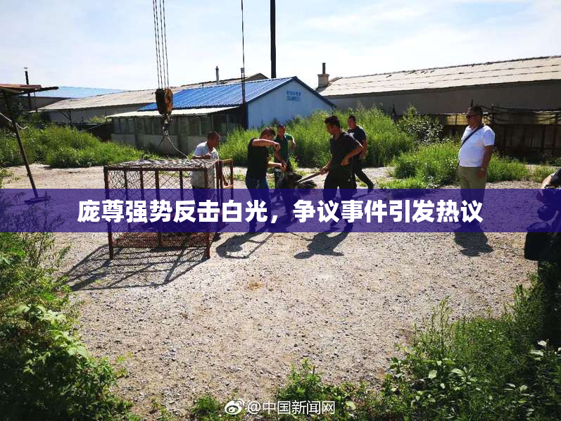 庞尊强势反击白光，争议事件引发热议