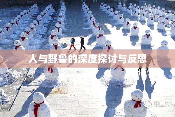 人与野鲁的深度探讨与反思