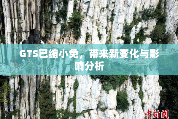 GTS已缩小免，带来新变化与影响分析