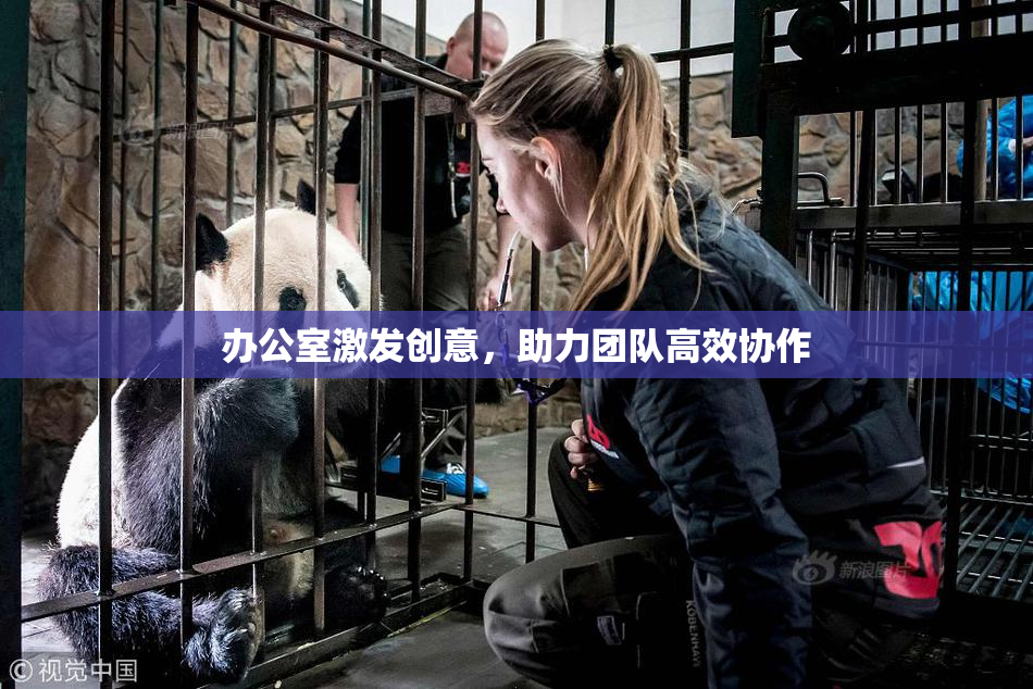 办公室激发创意，助力团队高效协作
