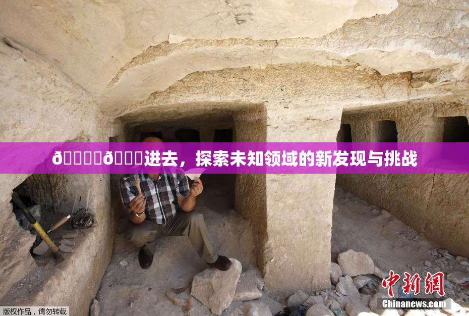 🔞‌🍌进去，探索未知领域的新发现与挑战
