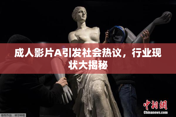 成人影片A引发社会热议，行业现状大揭秘