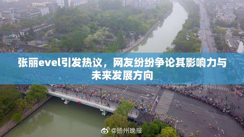 张丽evel引发热议，网友纷纷争论其影响力与未来发展方向