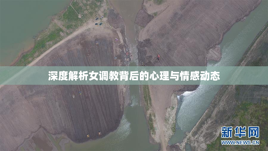 深度解析女调教背后的心理与情感动态