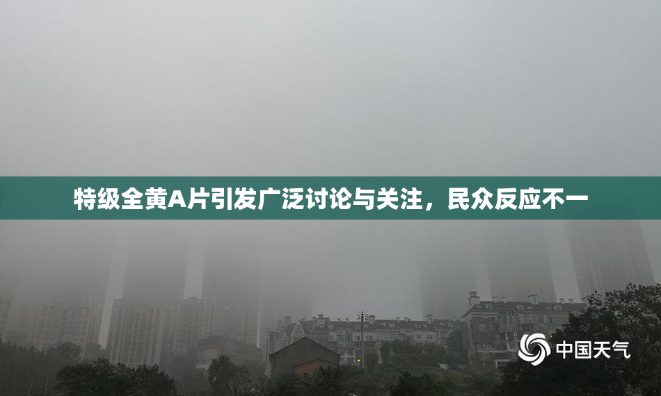 特级全黄A片引发广泛讨论与关注，民众反应不一