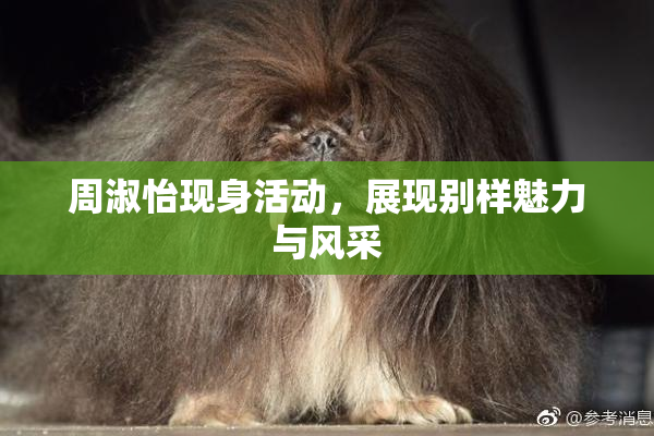 周淑怡现身活动，展现别样魅力与风采