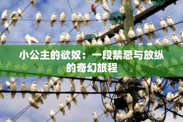 小公主的欲奴：一段禁忌与放纵的奇幻旅程