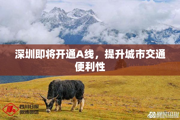 深圳即将开通A线，提升城市交通便利性