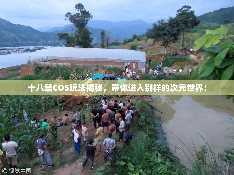 十八禁COS玩法揭秘，带你进入别样的次元世界！