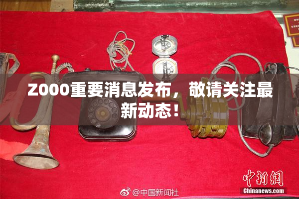 Z000重要消息发布，敬请关注最新动态！