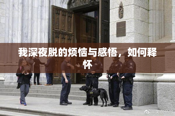 我深夜脱的烦恼与感悟，如何释怀
