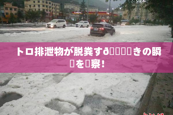 トロ排泄物が脱粪す🌃驚きの瞬間を観察！