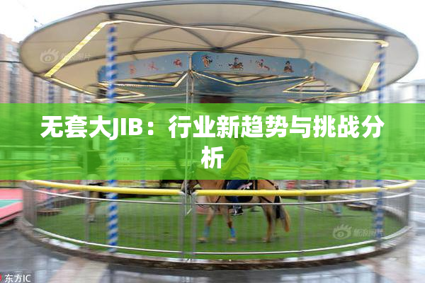 无套大JIB：行业新趋势与挑战分析
