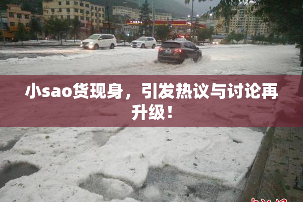 小sao货现身，引发热议与讨论再升级！
