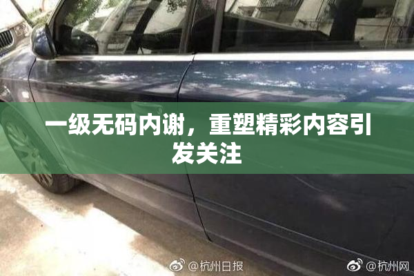 一级无码内谢，重塑精彩内容引发关注