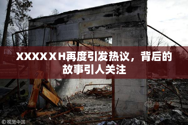 XXXXⅩH再度引发热议，背后的故事引人关注