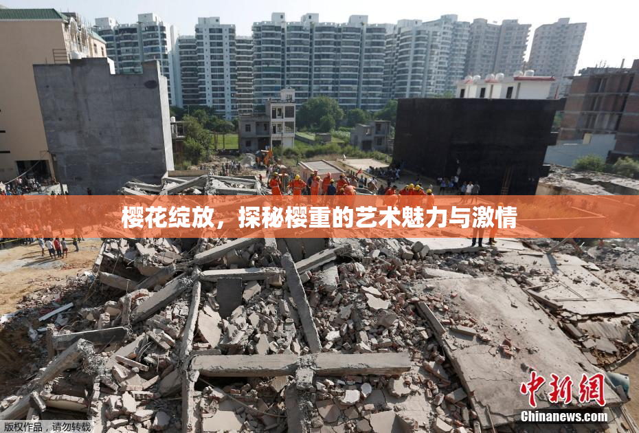 樱花绽放，探秘樱重的艺术魅力与激情