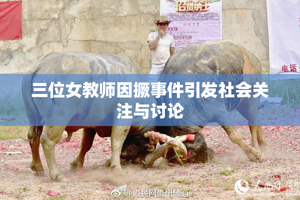 三位女教师因撅事件引发社会关注与讨论