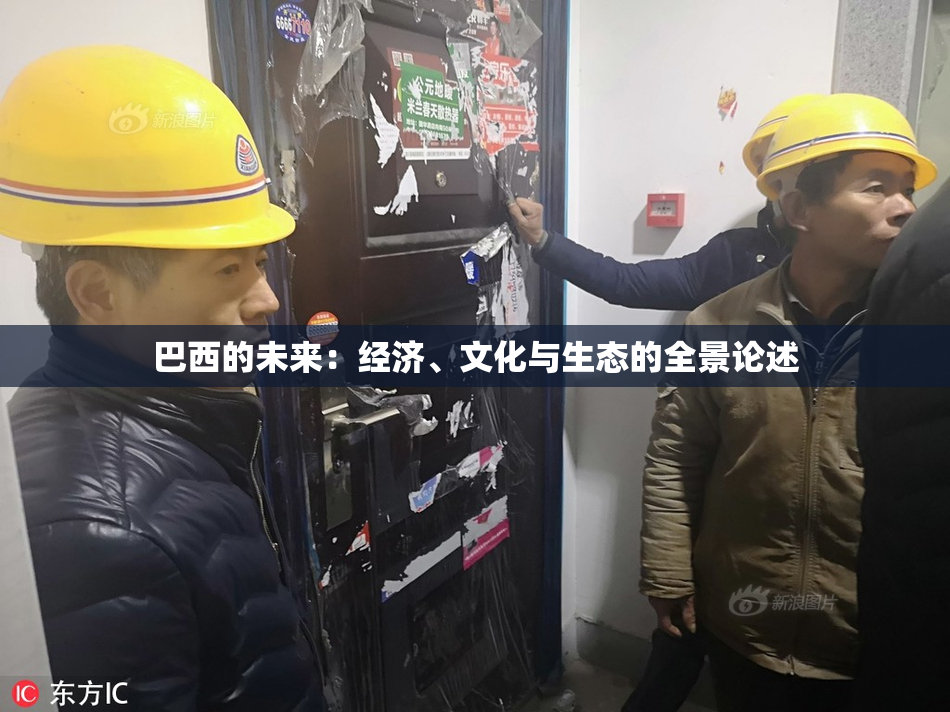 巴西的未来：经济、文化与生态的全景论述