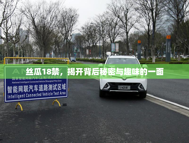 丝瓜18禁，揭开背后秘密与趣味的一面