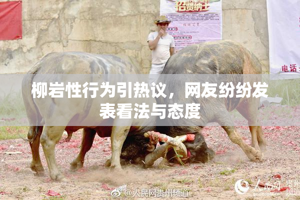 柳岩性行为引热议，网友纷纷发表看法与态度