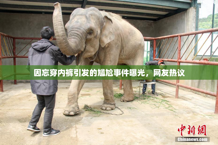 因忘穿内裤引发的尴尬事件曝光，网友热议