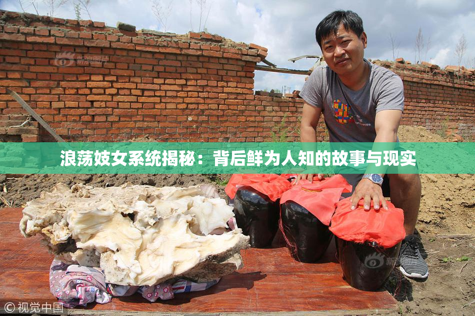 浪荡妓女系统揭秘：背后鲜为人知的故事与现实