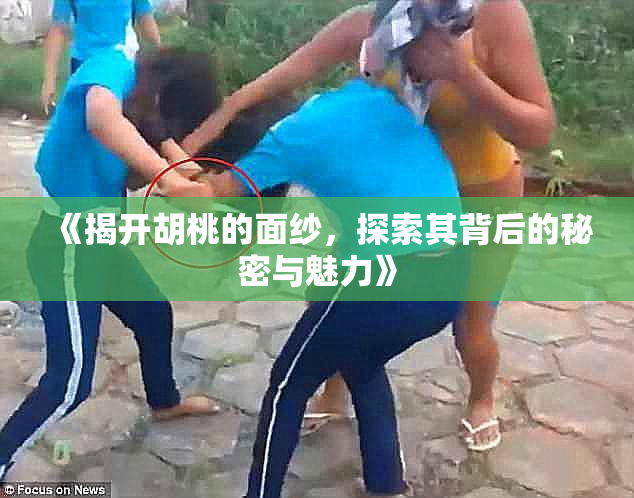 《揭开胡桃的面纱，探索其背后的秘密与魅力》