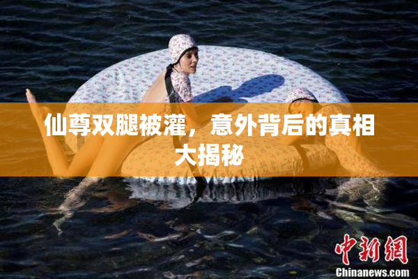 仙尊双腿被灌，意外背后的真相大揭秘